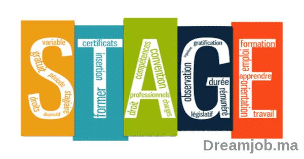 Dreamjob Coaching Emploi : 8 Conseils pour réussir son stage img