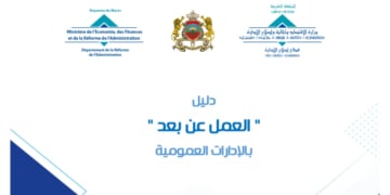 PDF دليل العمل عن بعد