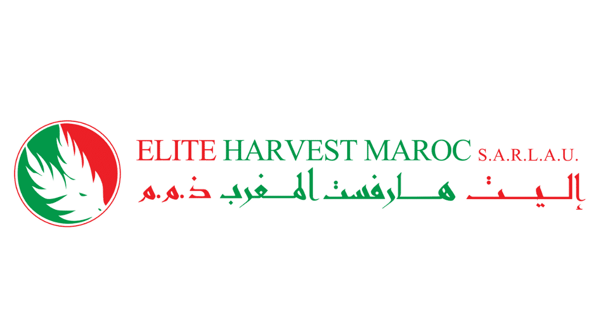 Elite Harvest Maroc Emploi Recrutement