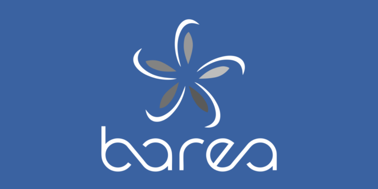 Barea Group Emploi Recrutement