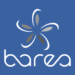 Barea Group Emploi Recrutement