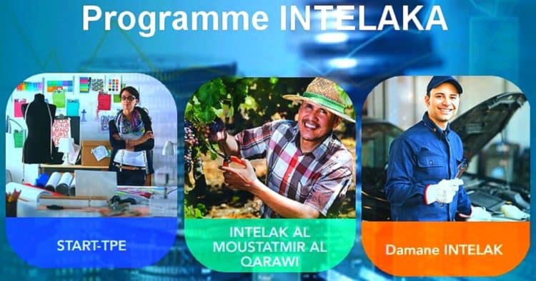 Programme Intelaka