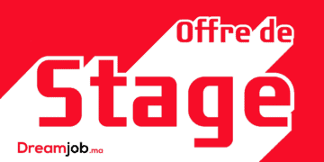Offres de Stages