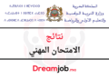 نتائج الامتحان المهني