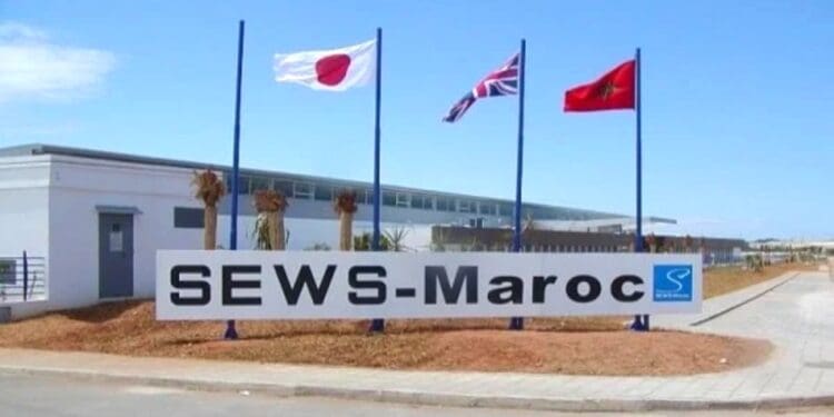 Sews Maroc Emploi Recrutement