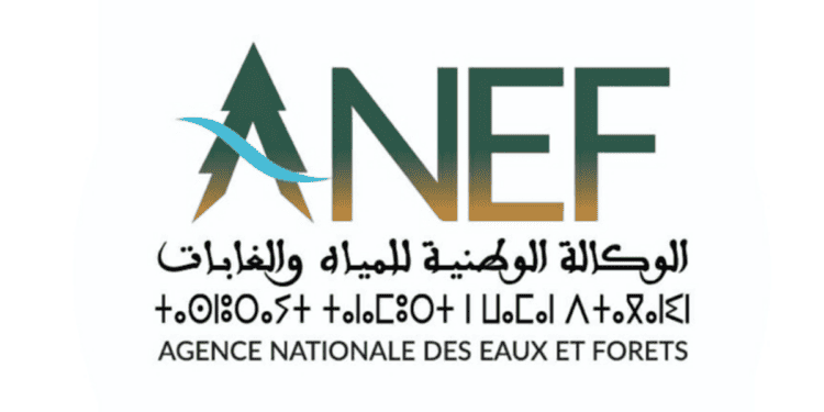 ANEF Concours Emploi Recrutement