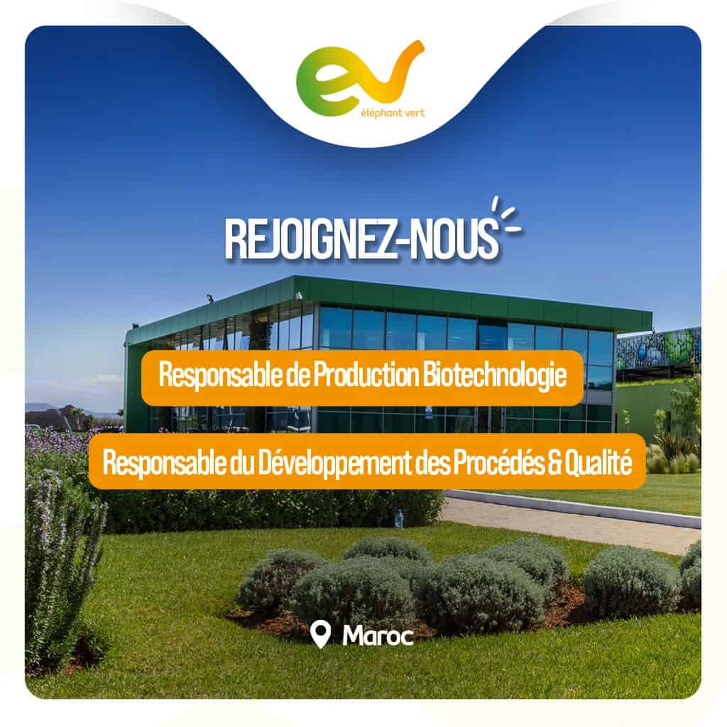 Elephant Vert recrute des Responsables - Dreamjob.ma