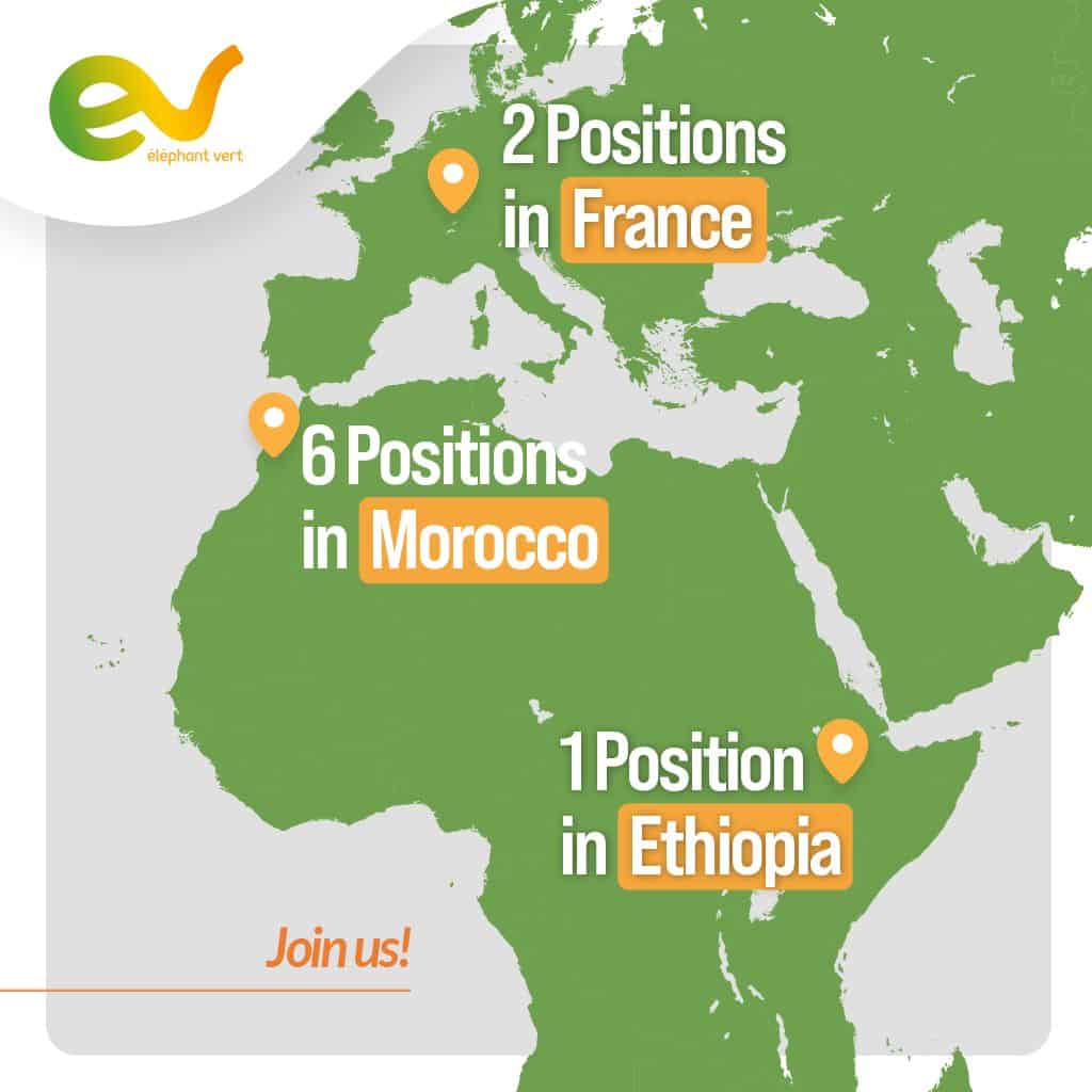 Elephant Vert recrute au Maroc, en France et en Ethiopie