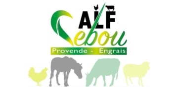 Alf Sebou